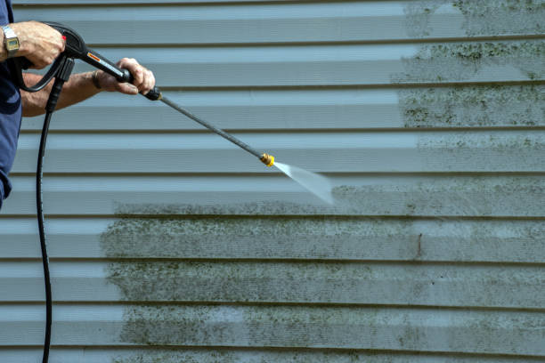 Best Fence Cleaning  in Tok, AK